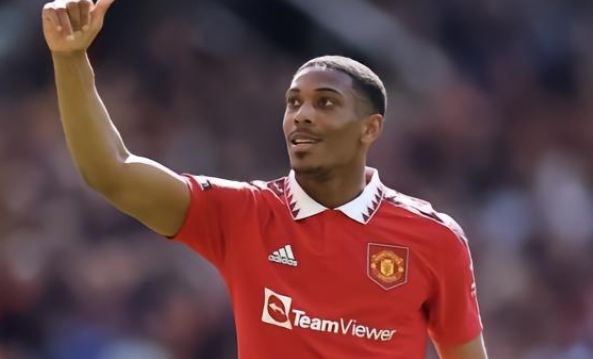 沙漠治理的 沙漠治理的